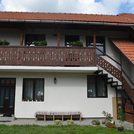 Bed and Breakfast Havasi Gyopar Praid Exterior foto